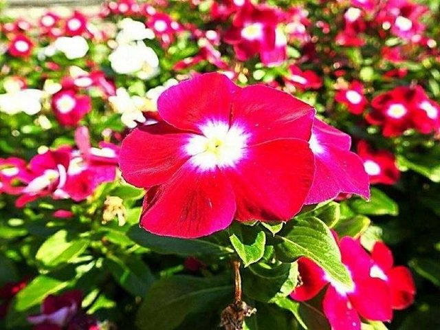 Csodálatos természet 01